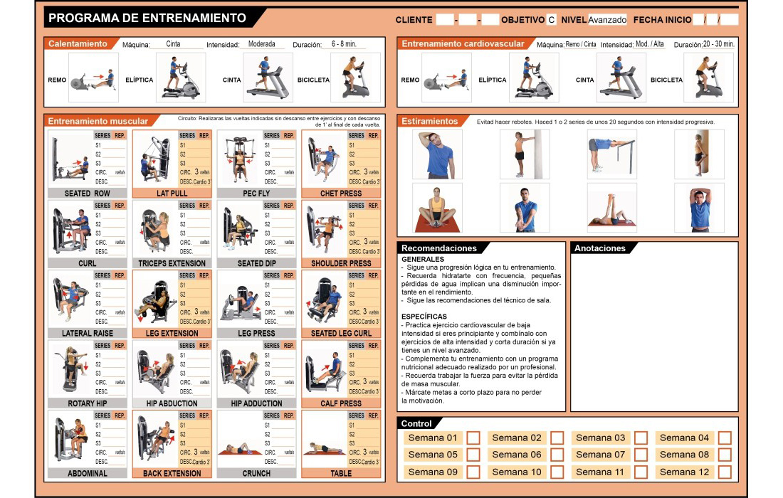 Programa de entrenamiento de gimnasio